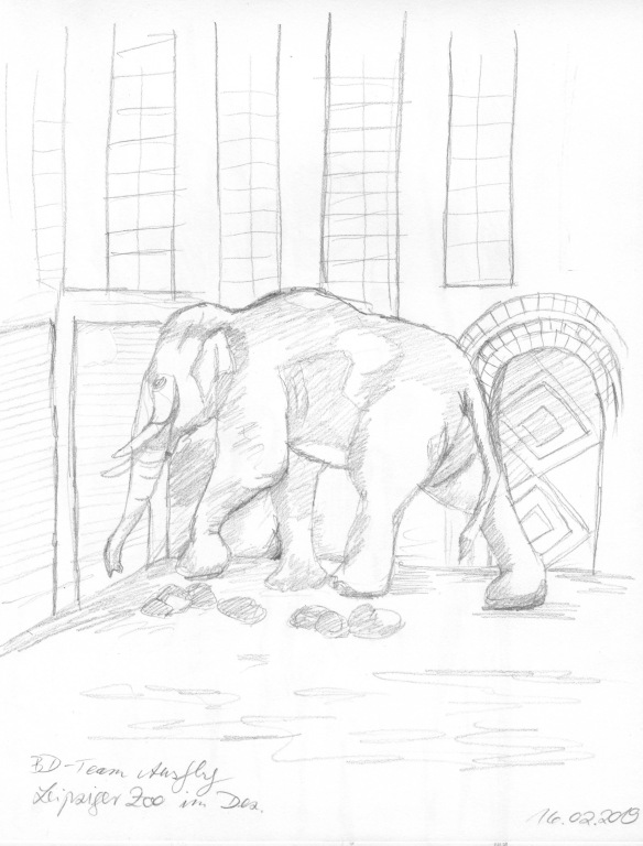 Elefant_LP Zoo